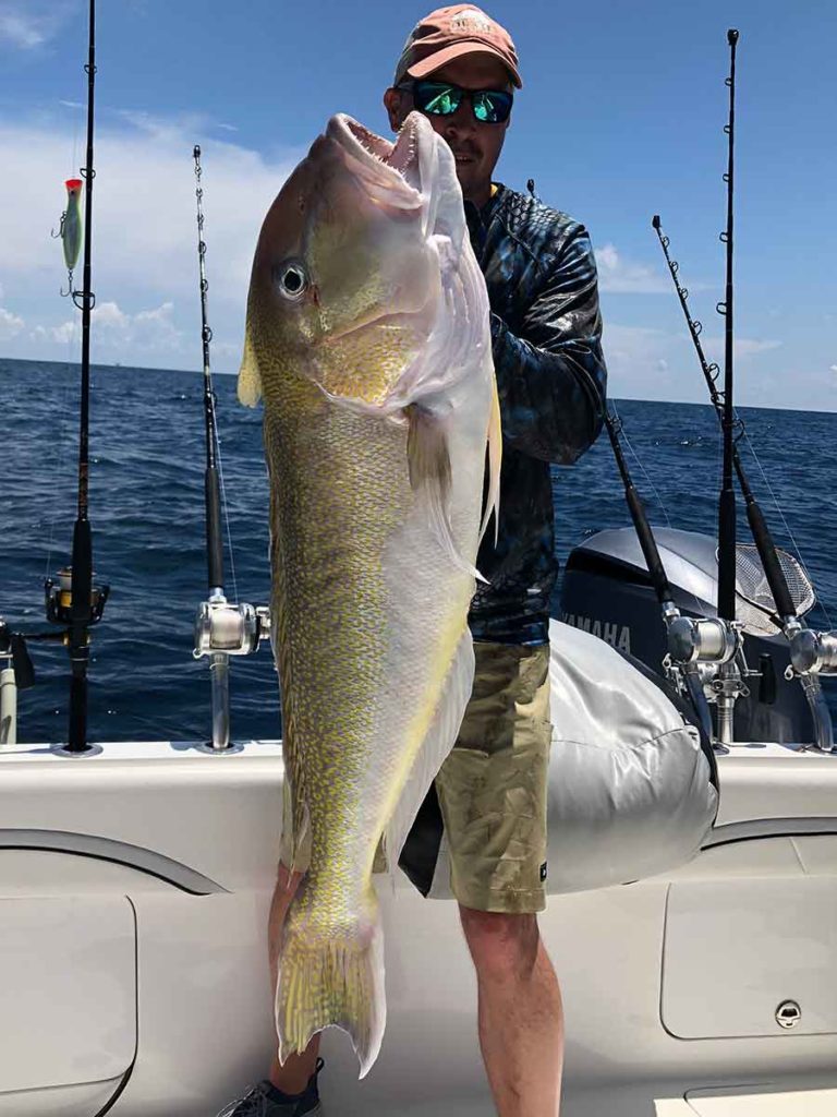 man holding a beautiful light golden colored grouper fish while on a Paradise Outfitters fishing charter in Venice, Louisiana