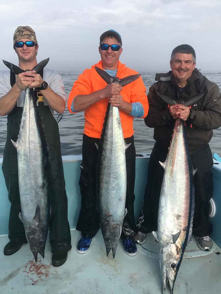 three males catching wahoo fish on the charter boat of Paradise Outfitters in Venice, Louisiana