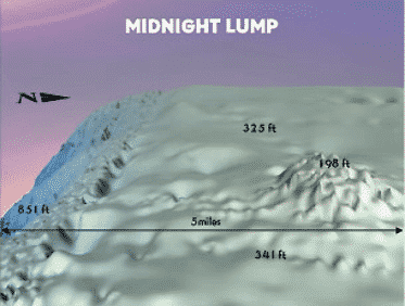 diagram showing a diagram of the midnight lump in the Gulf of Mexico off the cost of Venice, Louisiana